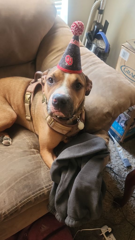 Arlo Profile Photo