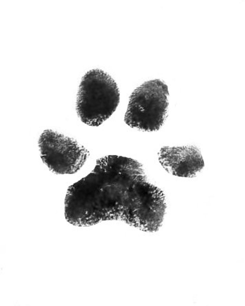 Miley Williams Profile Photo