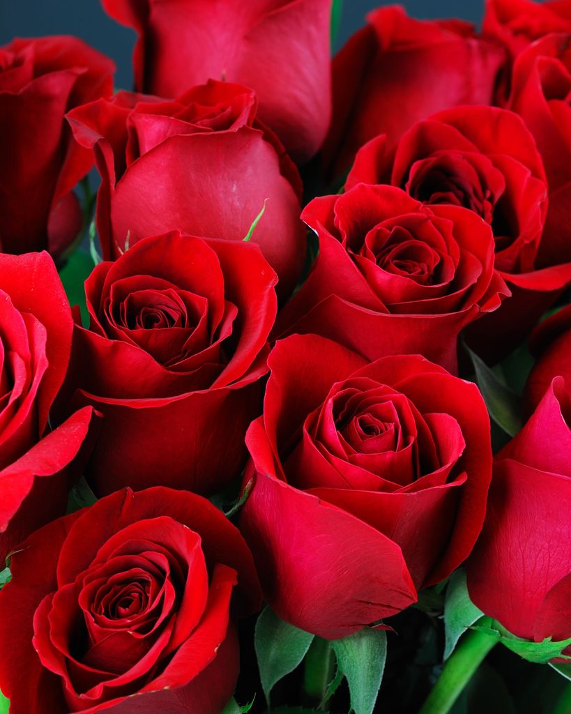 Sammie Swint Profile Photo