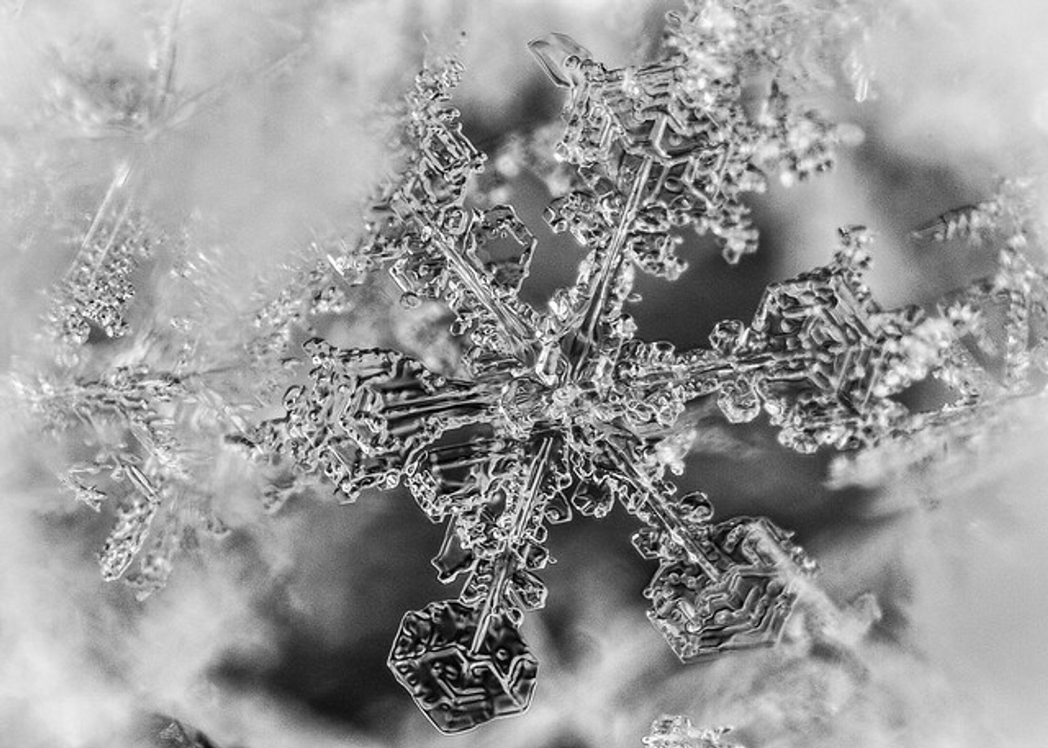 Cover for Alfonza Lee Smith's Obituary