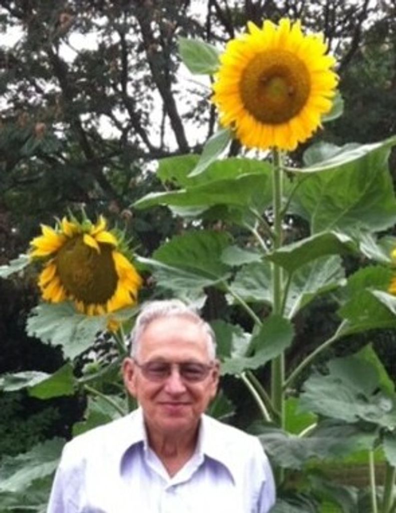 Robert Ibach