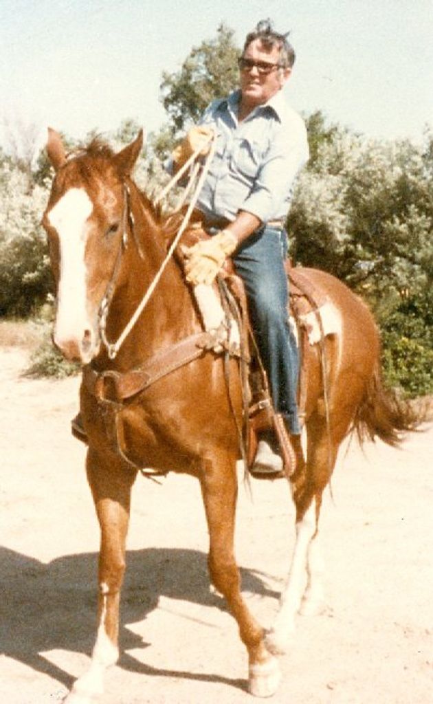 Bob  Hendricks Profile Photo