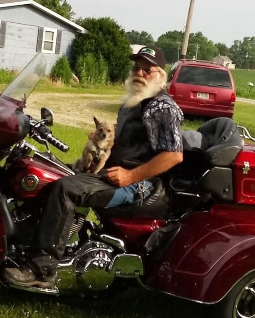 David Gordon Profile Photo