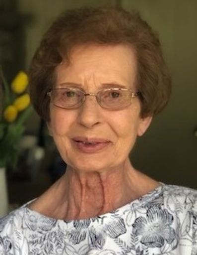 Dixie Lou (Nipper)  Fiorello Profile Photo