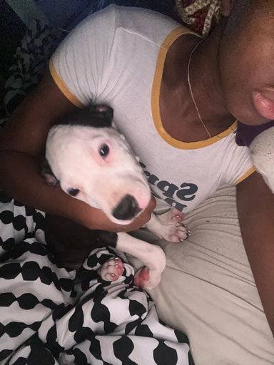 Zeus Marquis Sneed Profile Photo