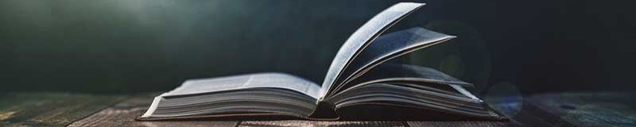 Cover for Bliss Singh's Obituary