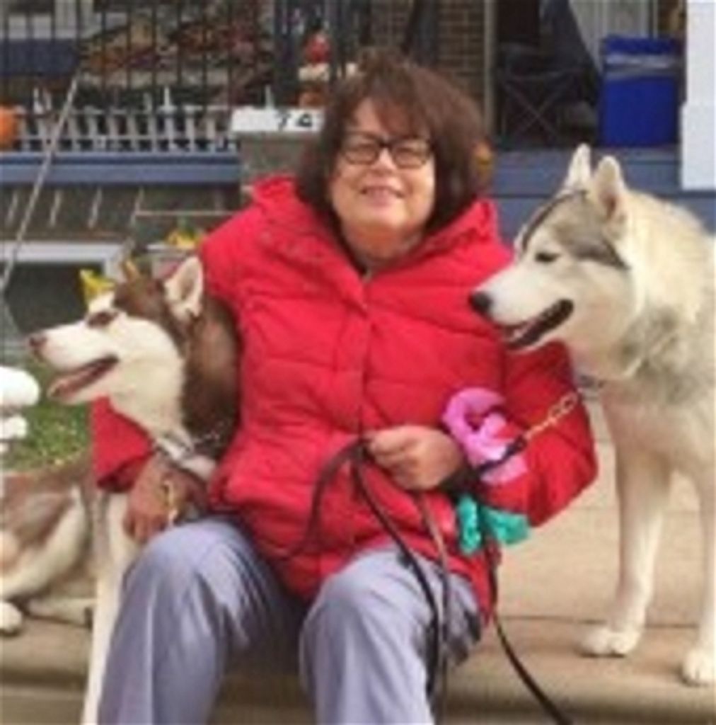 Hollis Jeannine Sensenig Profile Photo