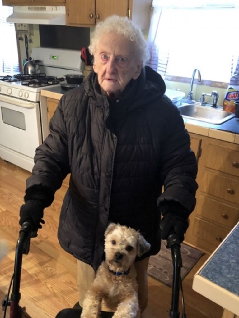 Dorothy Vollor Profile Photo