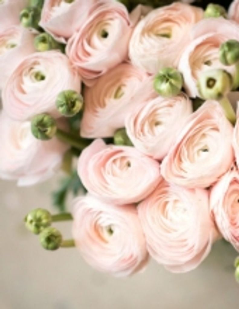 Nellie Carter Hardin