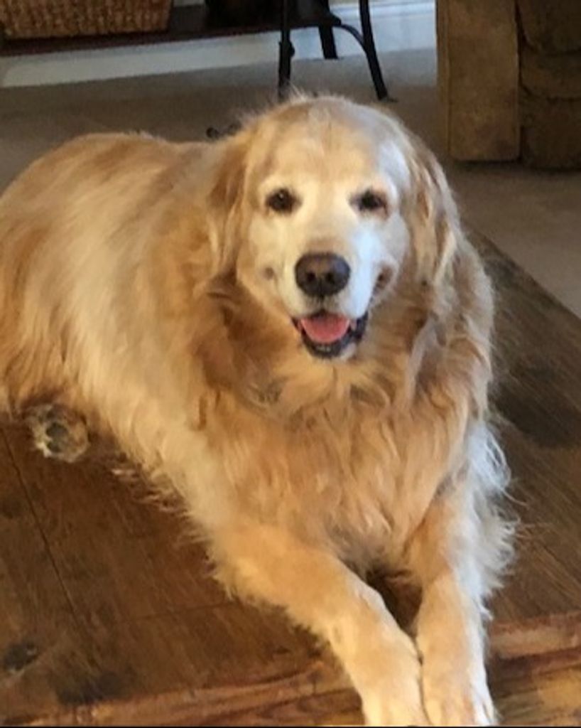 Cooper Bir Profile Photo