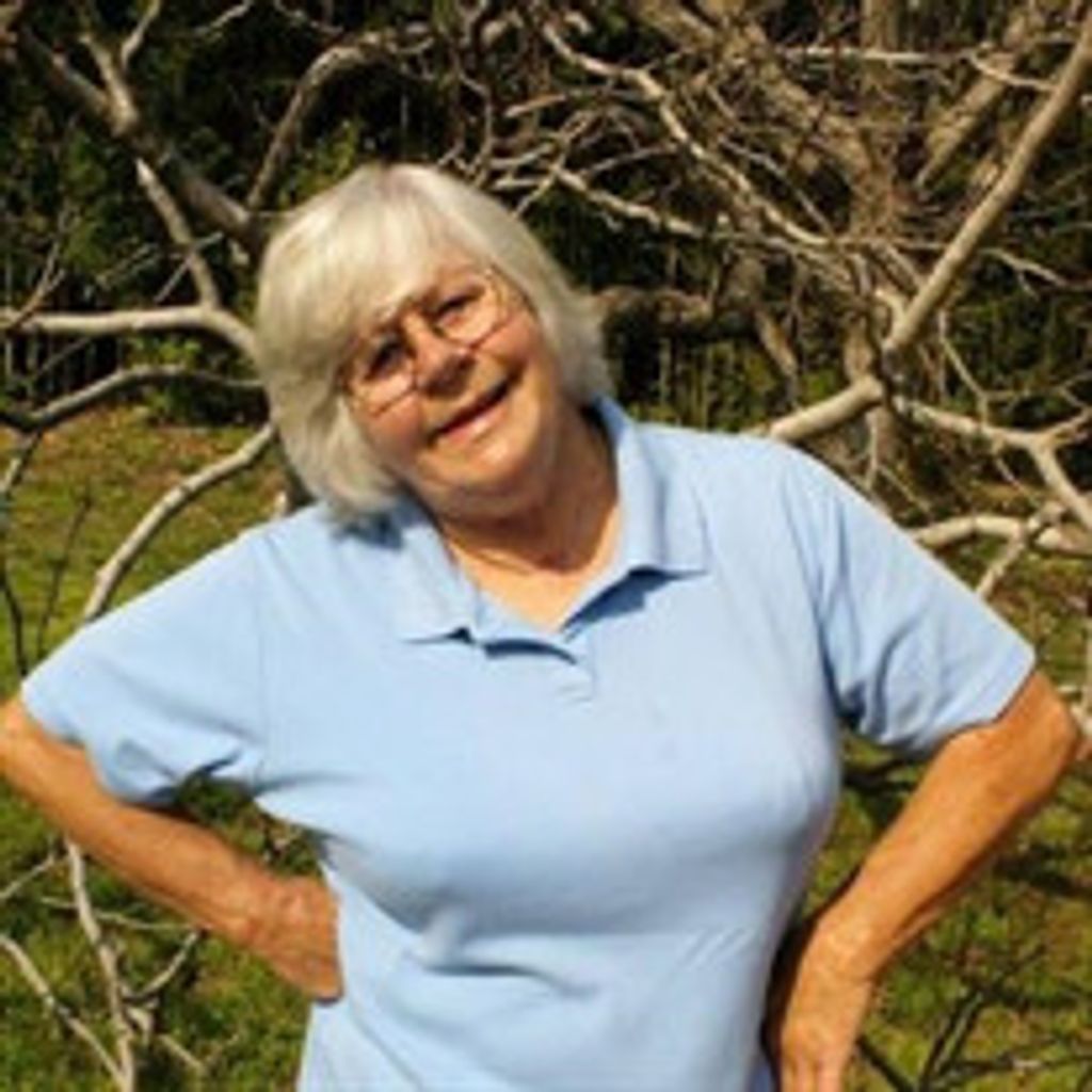 Dorothy C. Nentrup Profile Photo