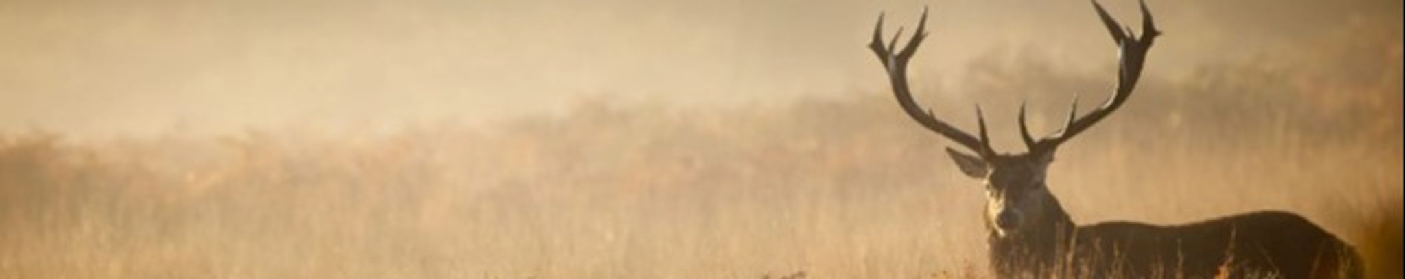 Cover photo for Dale "Duane" Wyatt's Obituary