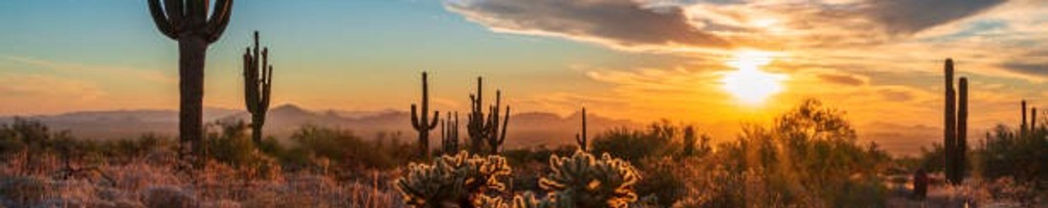 Cover for Larry Grant Thatcher's Obituary