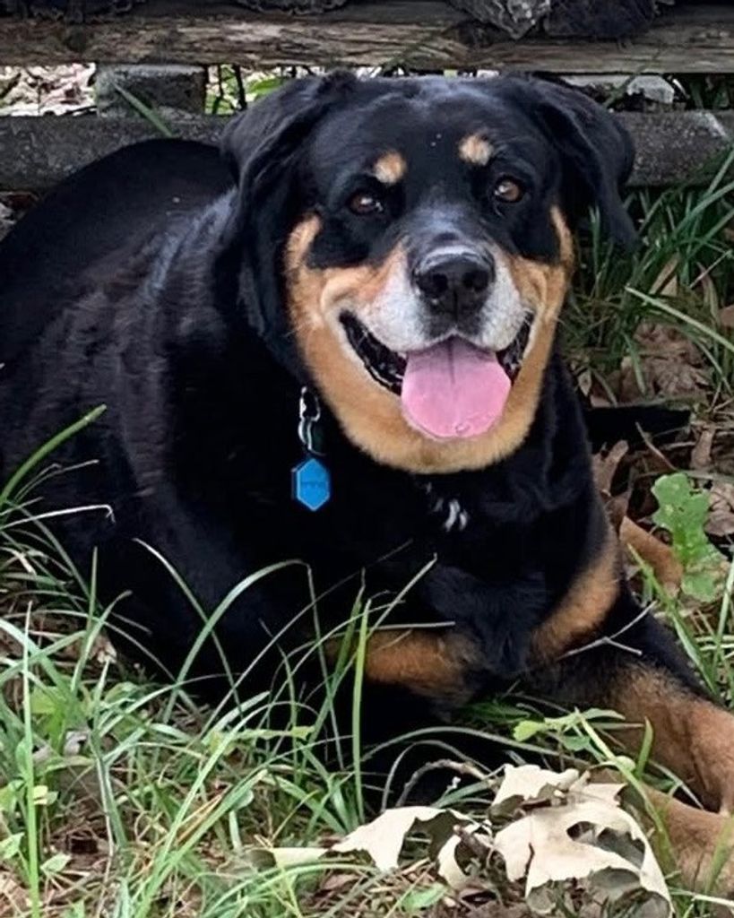 Keisha Hutton Profile Photo