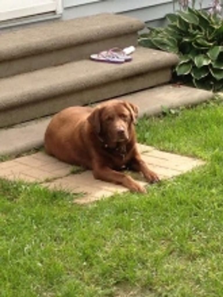 Kokonutt Debrot Profile Photo