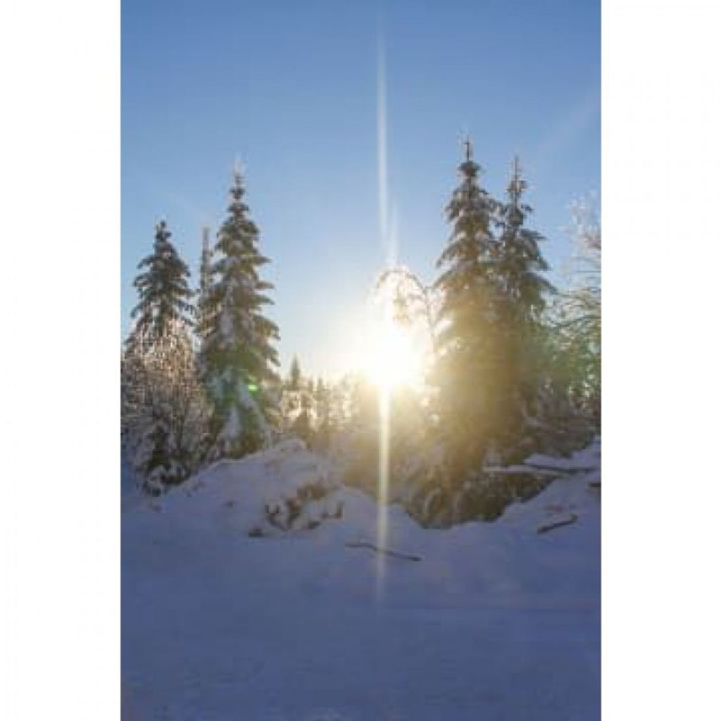 Richard Neil Abrams Profile Photo