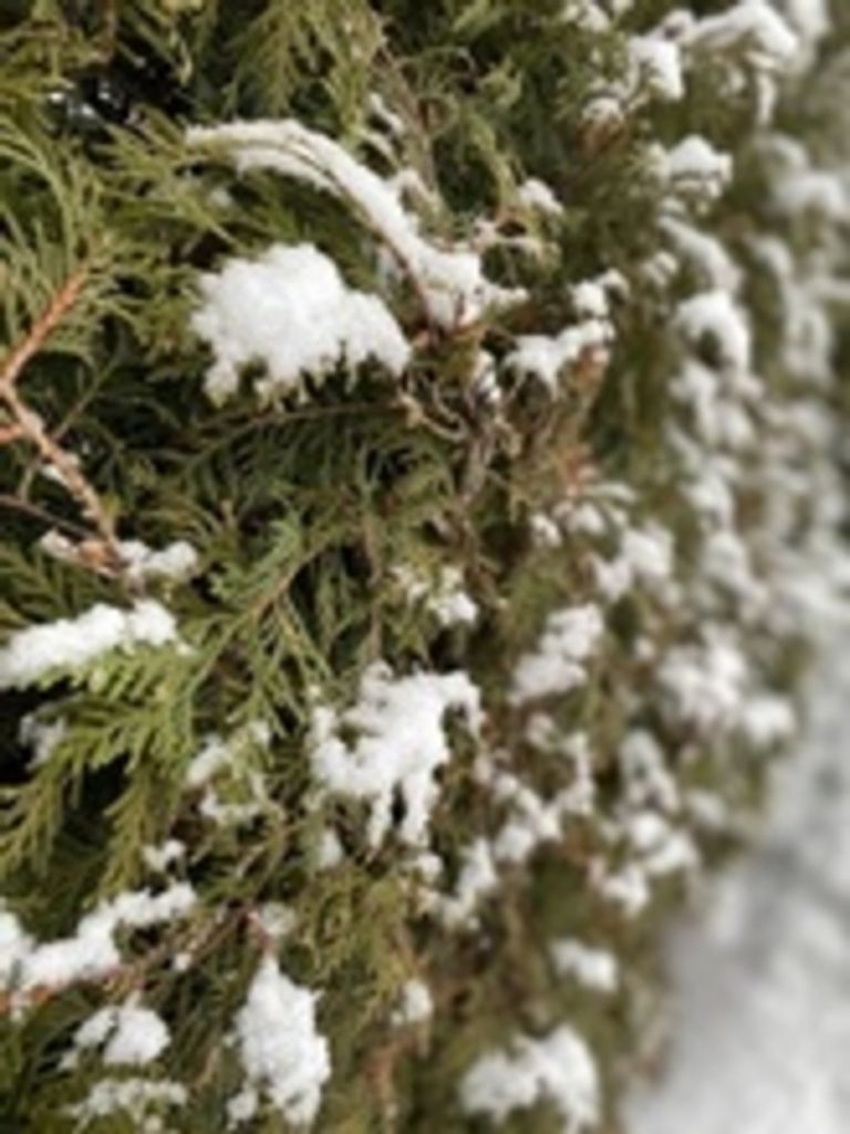 James E. Barry Profile Photo