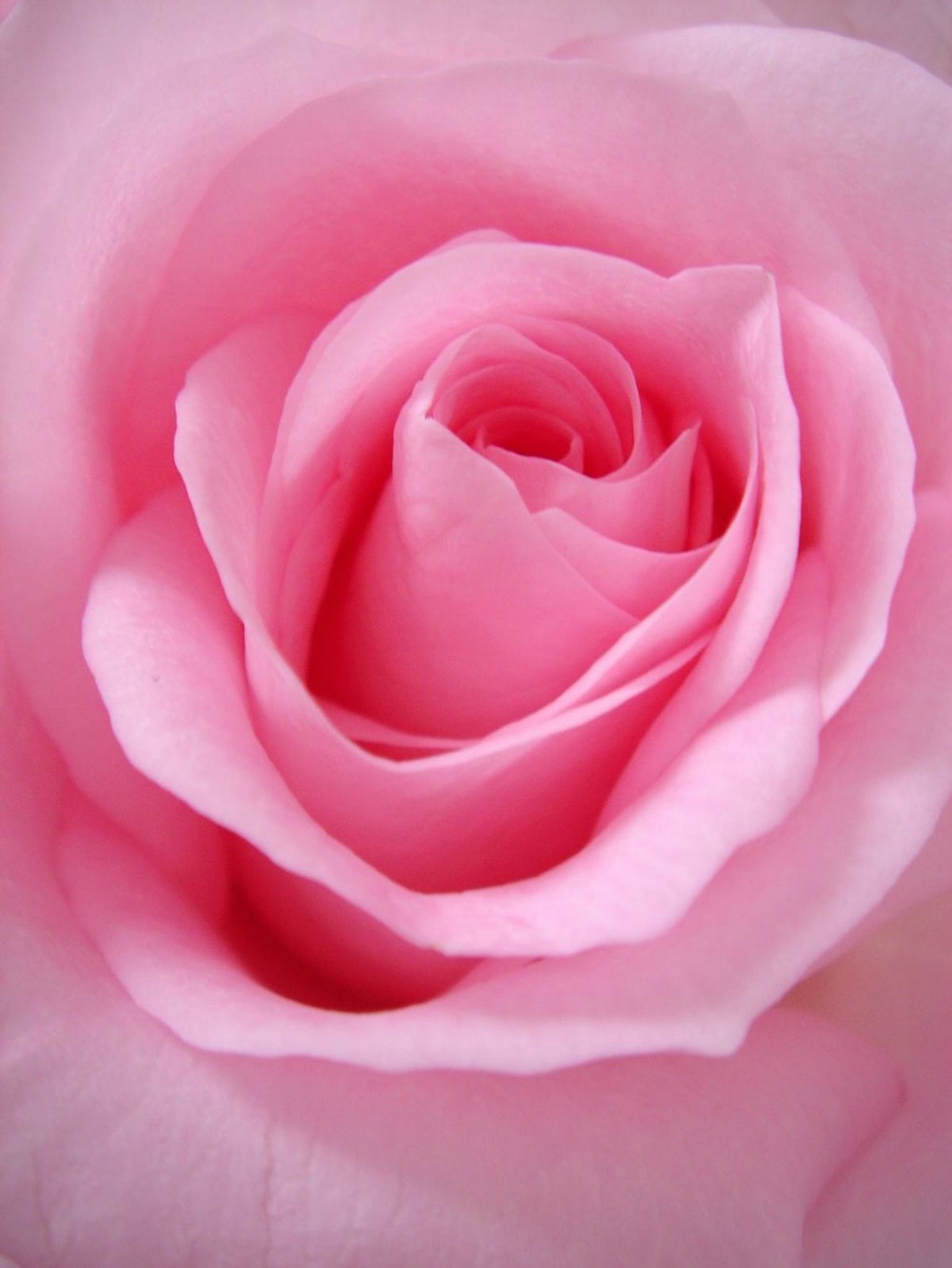 Cover photo for Cynthia  Kay Barrett's Obituary