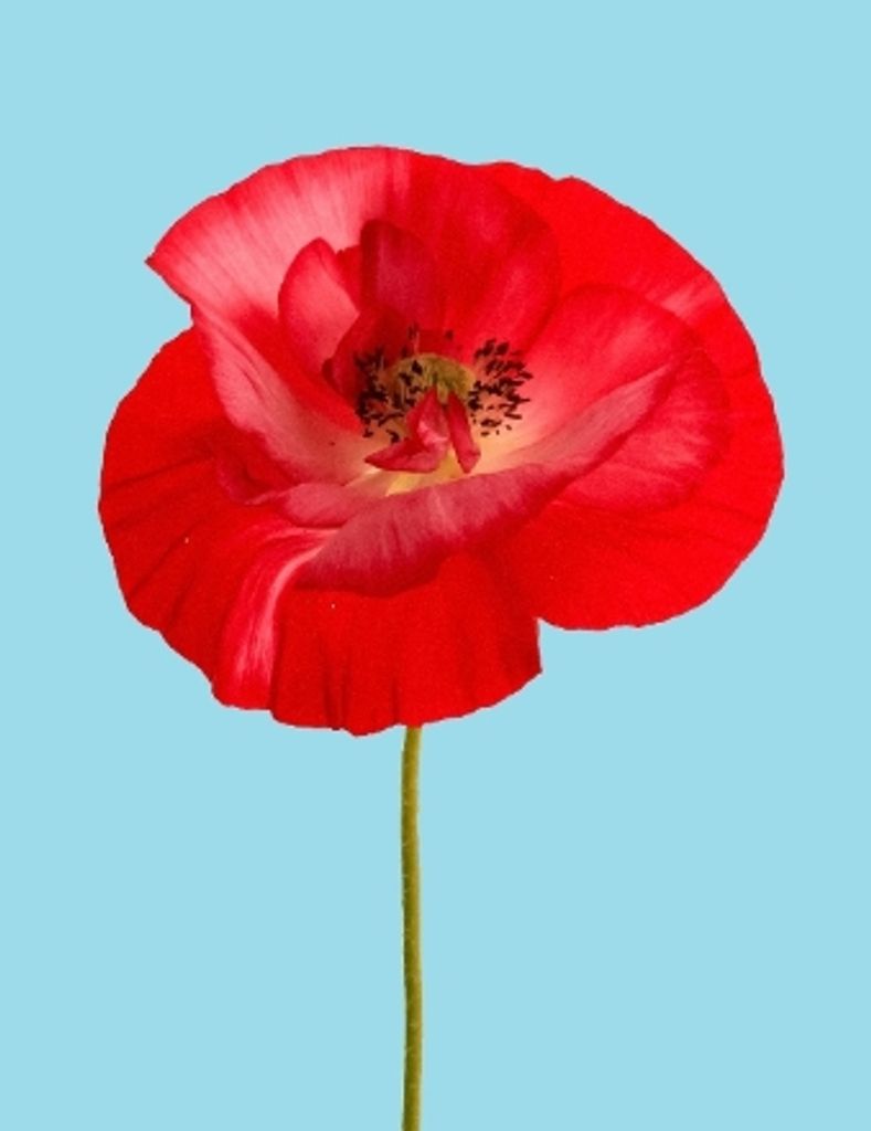 Janet Lee Aldridge