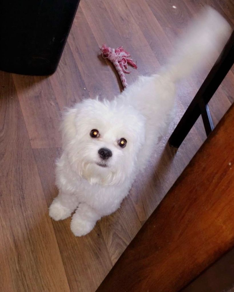 Maxx 🖤 Profile Photo