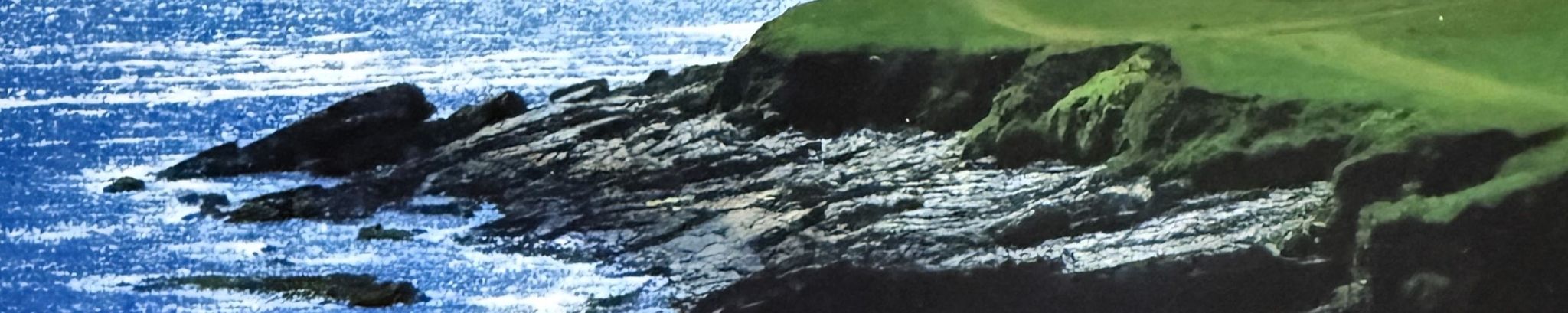 Cover for Mary Ann Branagan's Obituary