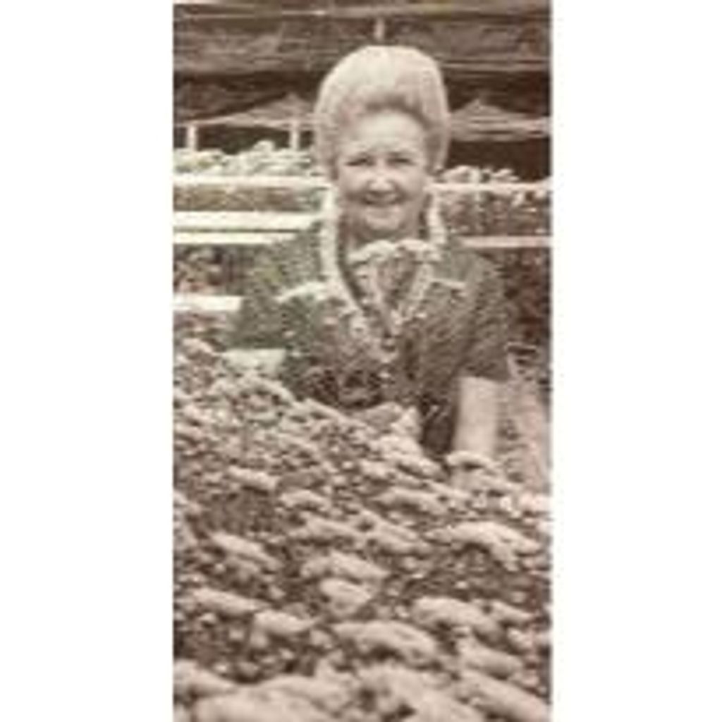 Julia Marjorie Miller