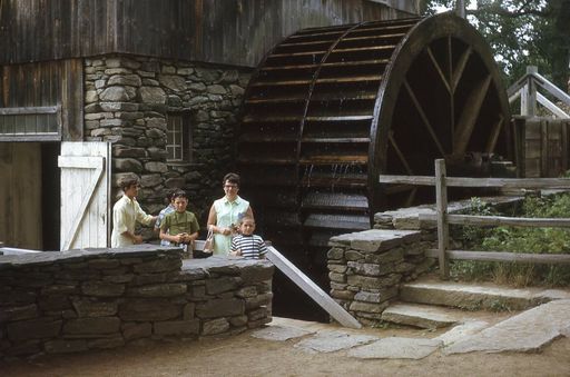 Evelyn J Steer photo gallery thumbnail 36 of 62