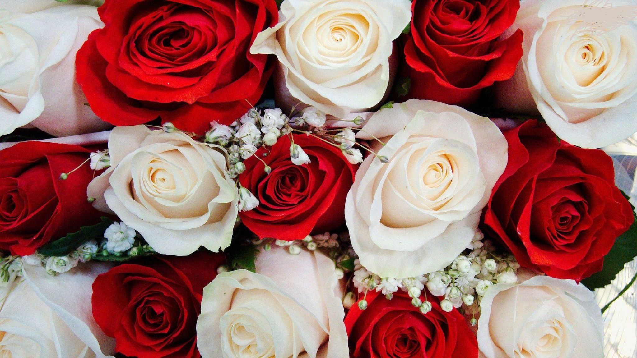 Cover photo for Shirley Lee Richardson Shephard's Obituary