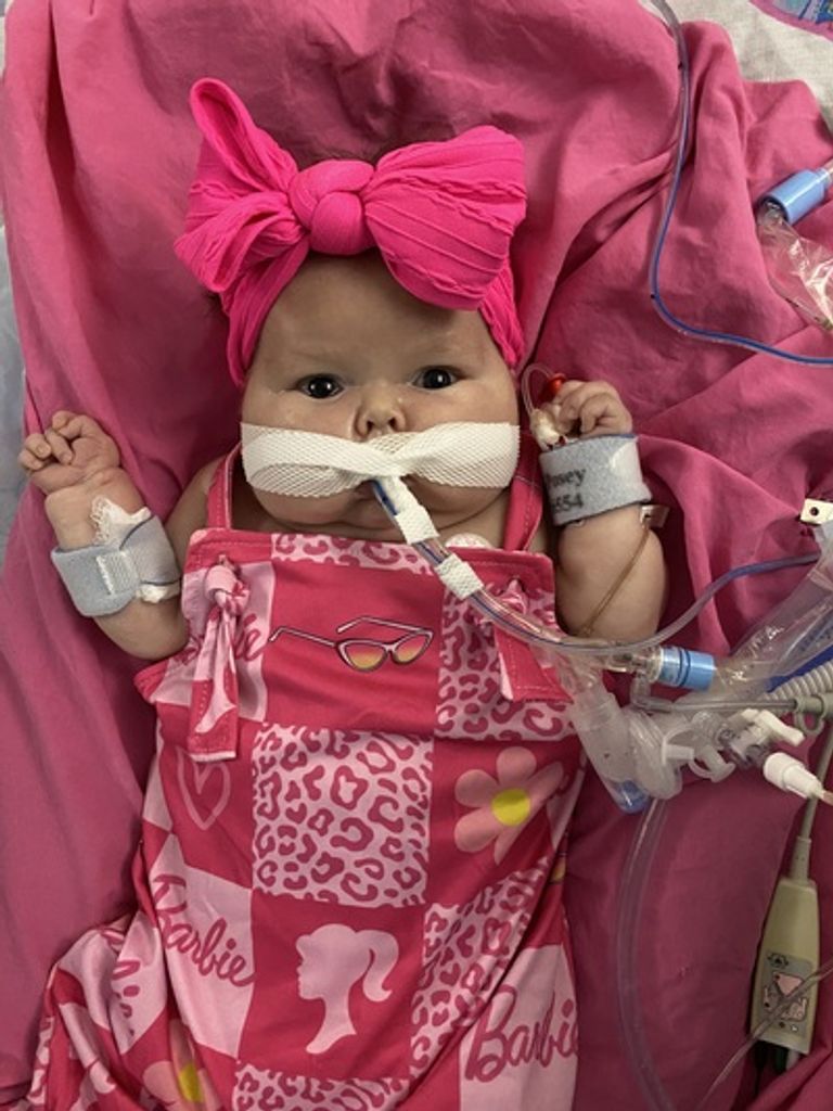 Fallon Rose Cortum Profile Photo