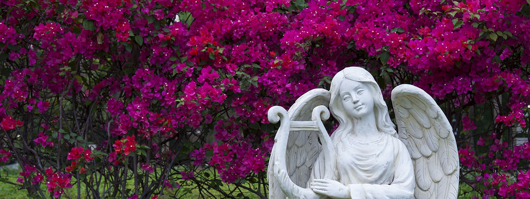 Cover for Marie A. Lippert's Obituary