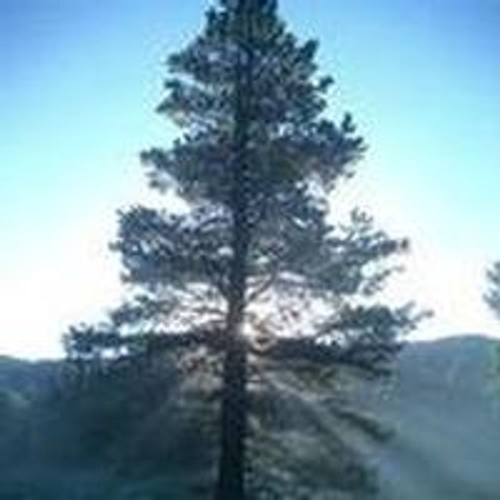 Kenneth  Marvin Burns