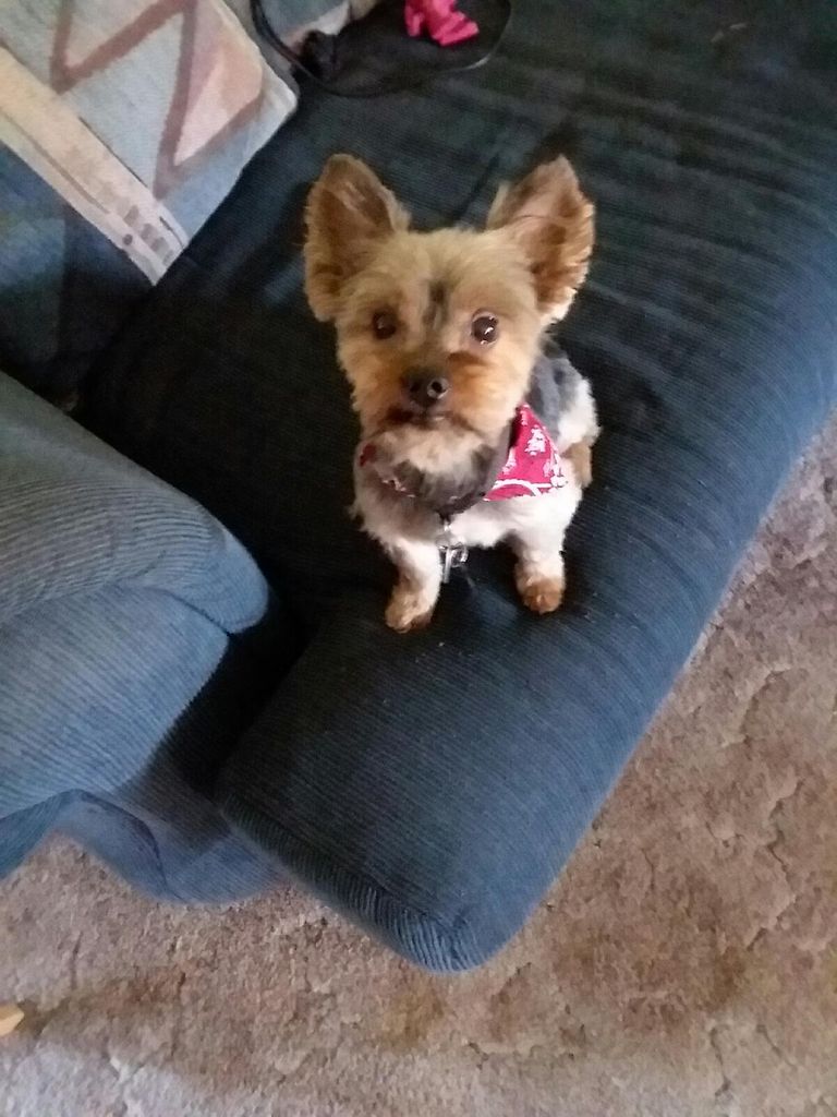 Benji Profile Photo