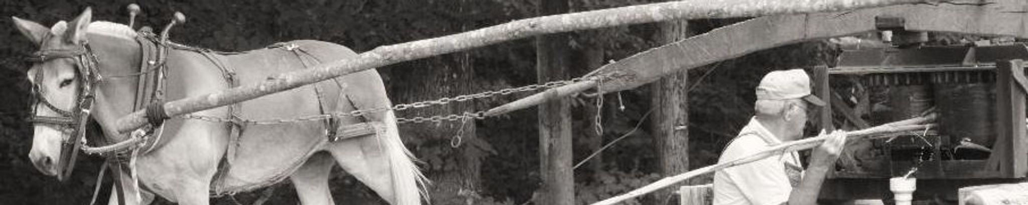 Cover photo for James M. Reynolds's Obituary