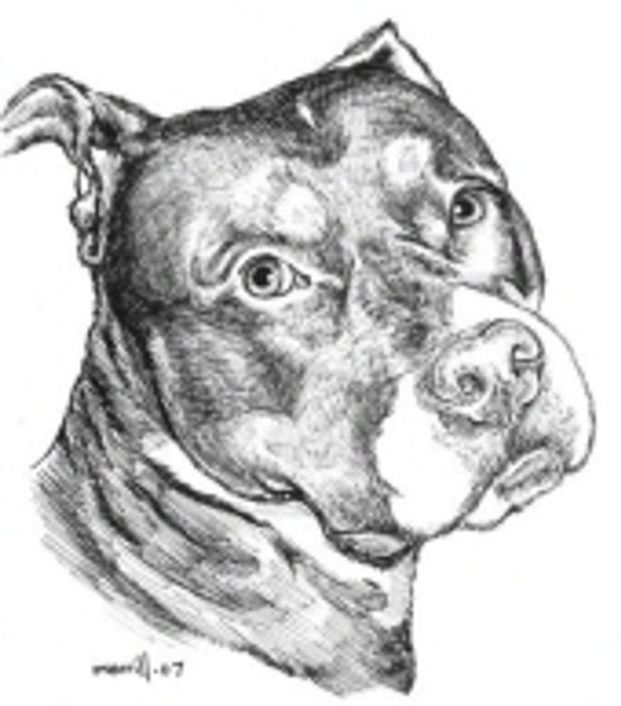 Alaska Huck Profile Photo