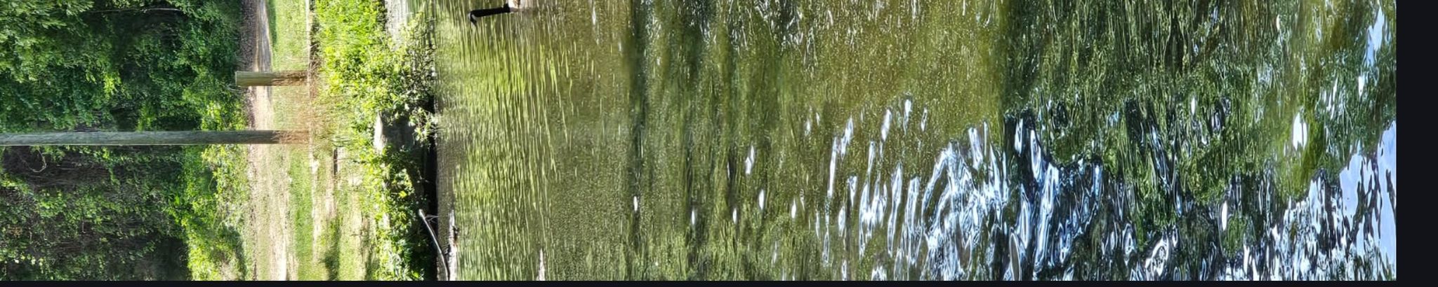 Cover for Gale A. Fleming's Obituary