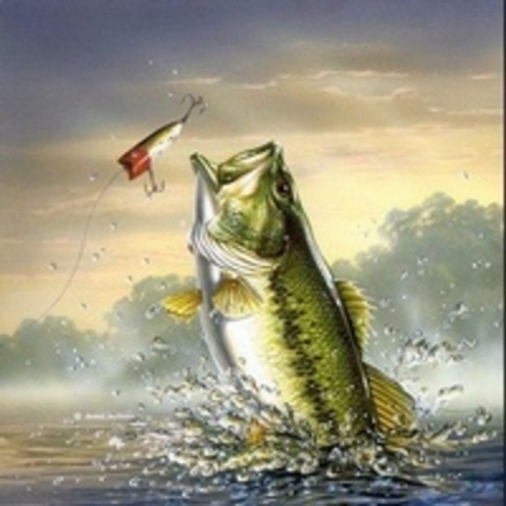 William Dempsey Stone, Jr.