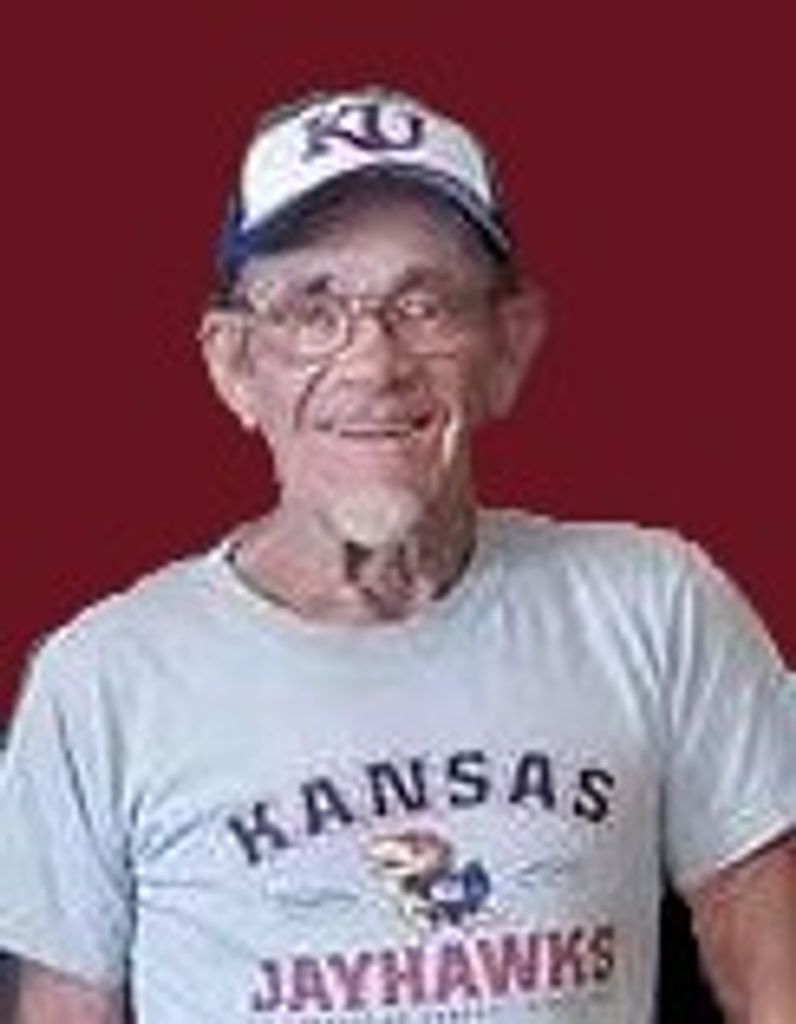 Wayne A. Johnston