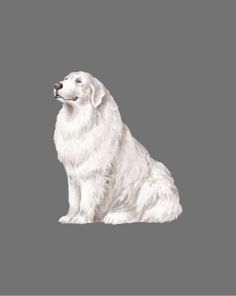 Rosco Hamilton Profile Photo