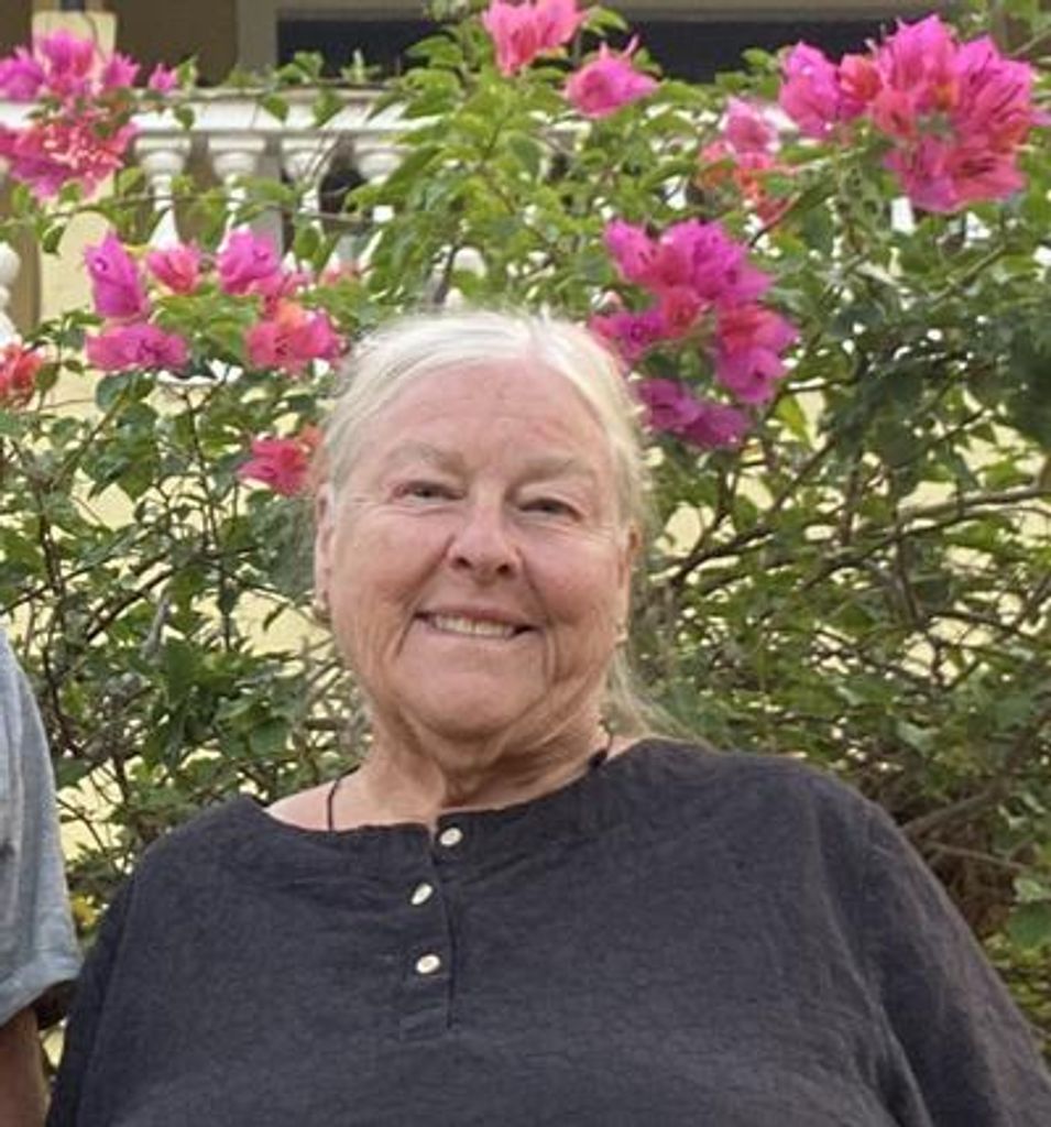 Vicki L. Holland Profile Photo