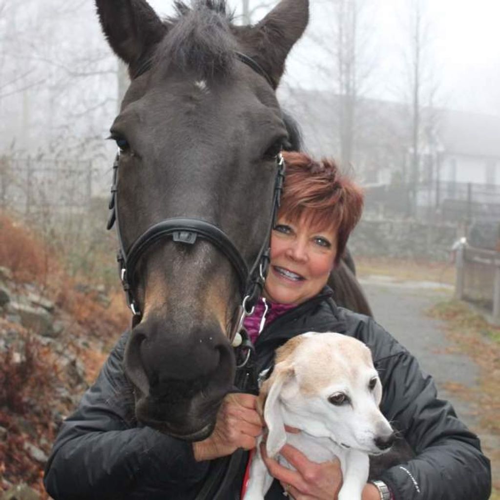 Susan Jean (Mitchell)  Delfanti Profile Photo