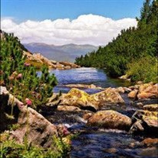 Jose Luis Mas Profile Photo