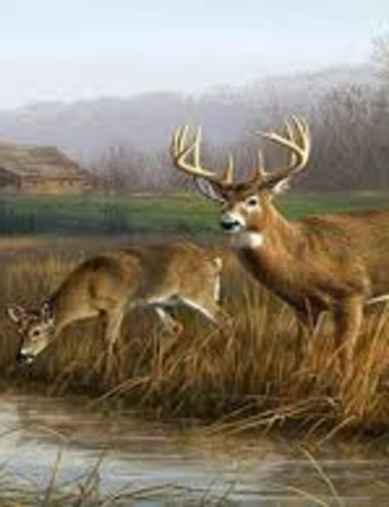 William Vaughn Smith