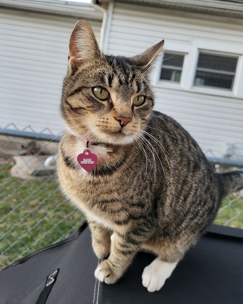 Frannie Loomis Profile Photo