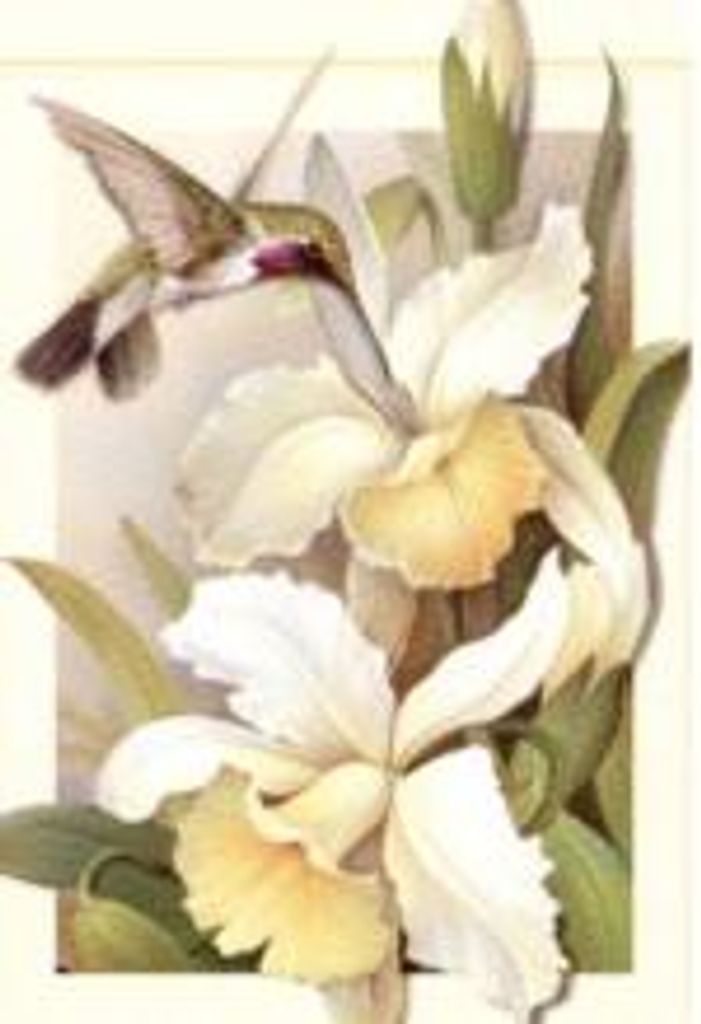Diane M. Tallafuss