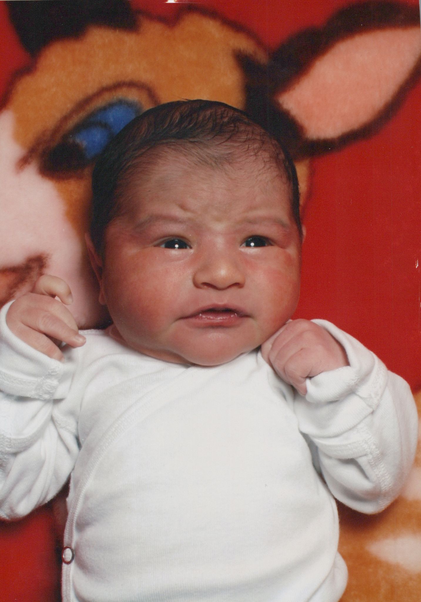 Yamir Vazquez Obituary Sep 4, 2026 - Moser Funeral & Cremation Service