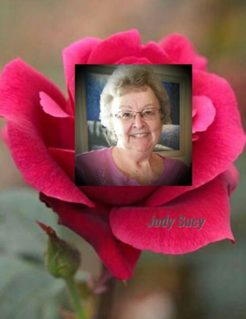 Judy Sucy Profile Photo