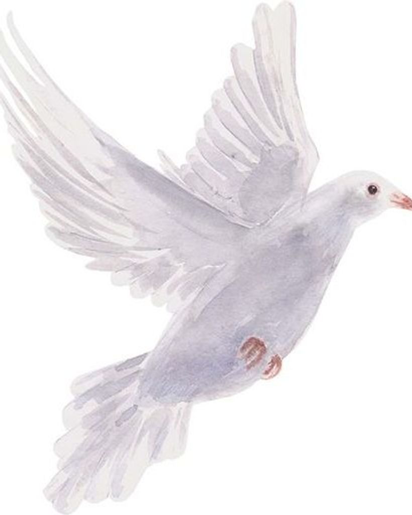 Sandra Lee (Fell) Pfister