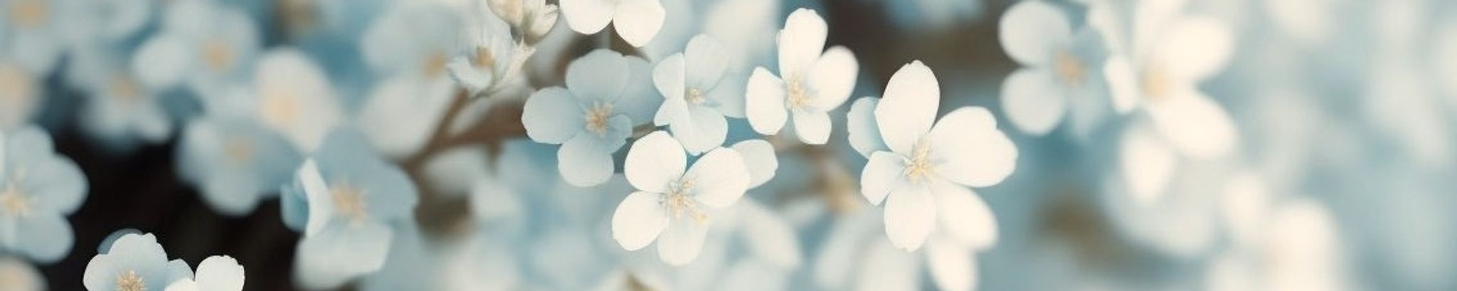 Cover for Marie A. Penko's Obituary