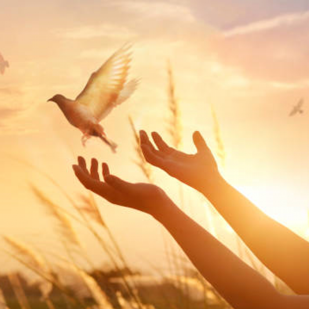 Timothy Francis Conlin Profile Photo