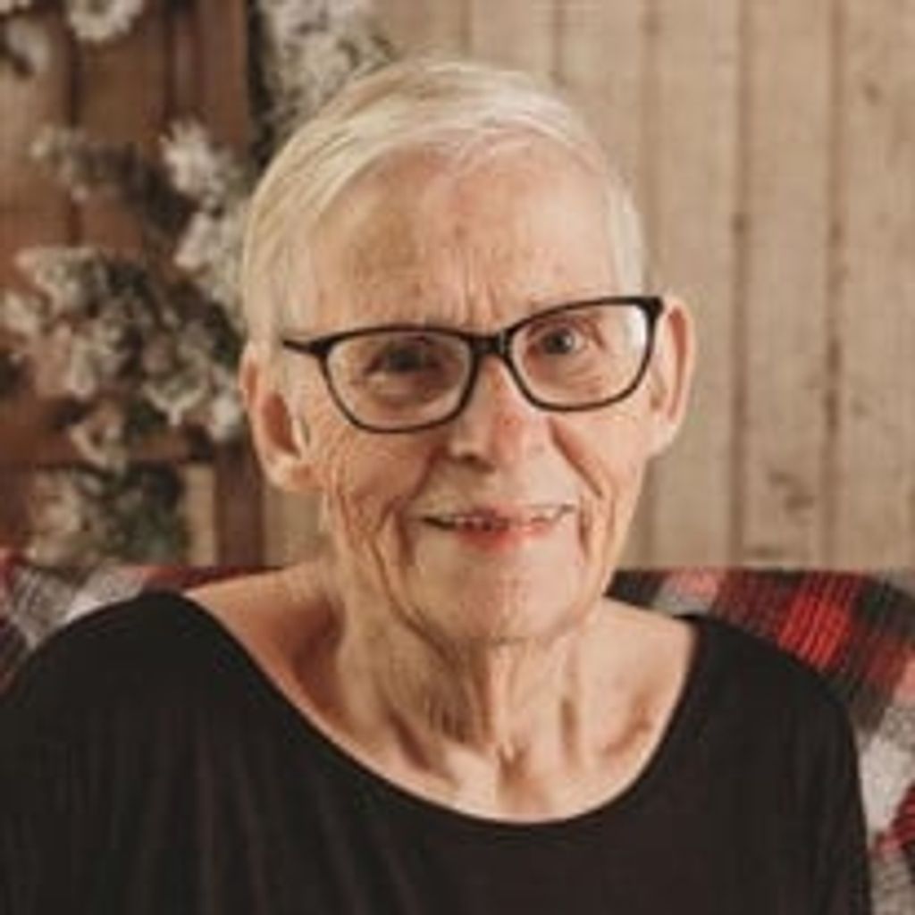 Sue N. Millis